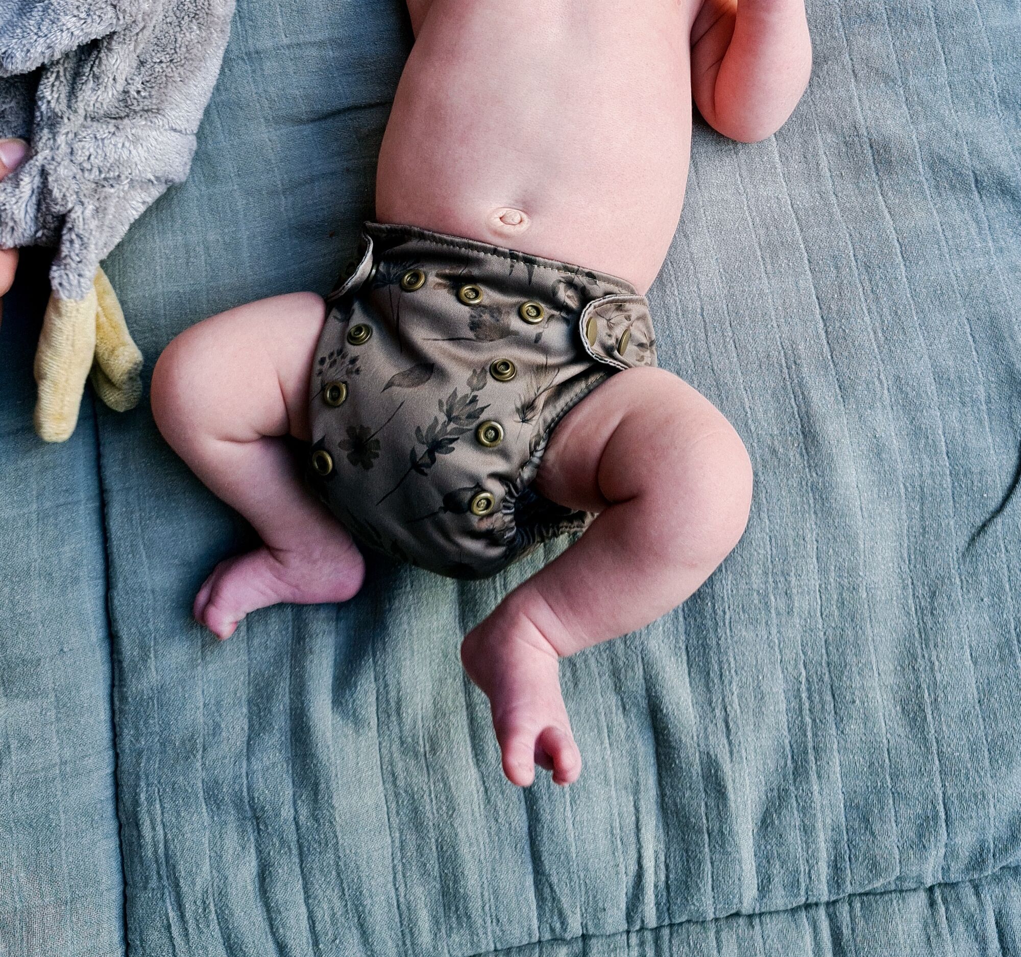 A real photo of Newborn Grasses by Febe (1)