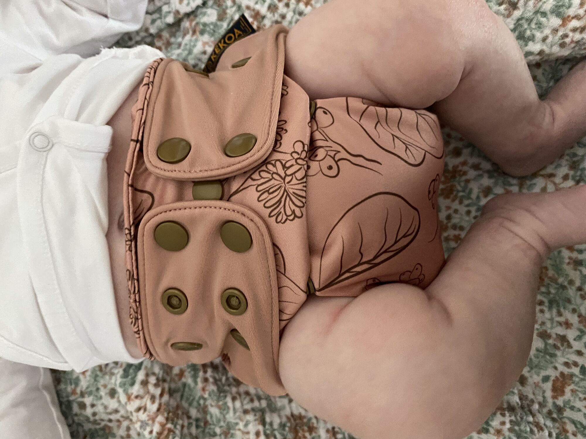 A real photo of Premium One Size Diaper Taupata by Minke (1)