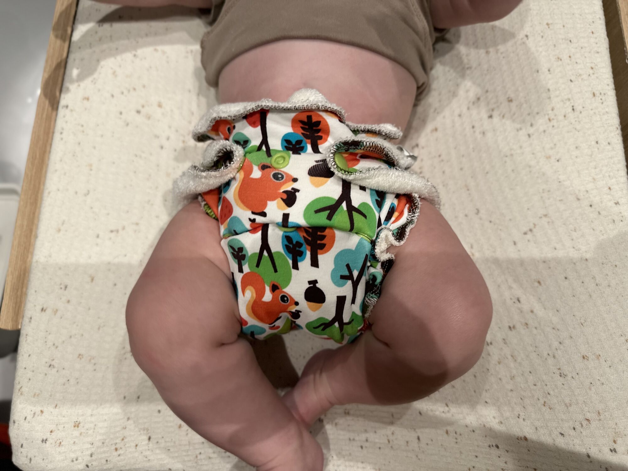 A real photo of Fluffy Organic Maxi/Night Fitted Diaper Squirrels Snaps by Marjolein (1)