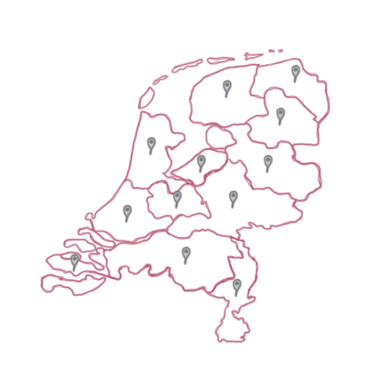 Consultants in the Netherlands 
