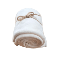 Cloth Bums Cloth Wipes (10 pieces)