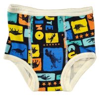 Oefenbroekje Soft Cute Dino Alvababy