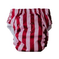 Cloth Bums Big Kids pull-up diaper Berry Good