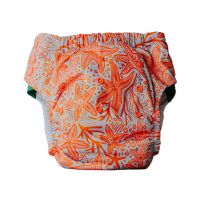 Cloth Bums Big Kids pull-up diaper Reef Riot