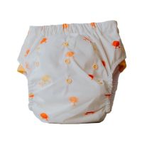 Cloth Bums pull-up diaper Big Kids Crabby Pants