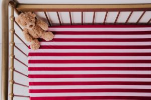 Waterproof Fitted Sheet Berry Good from Cloth Bums